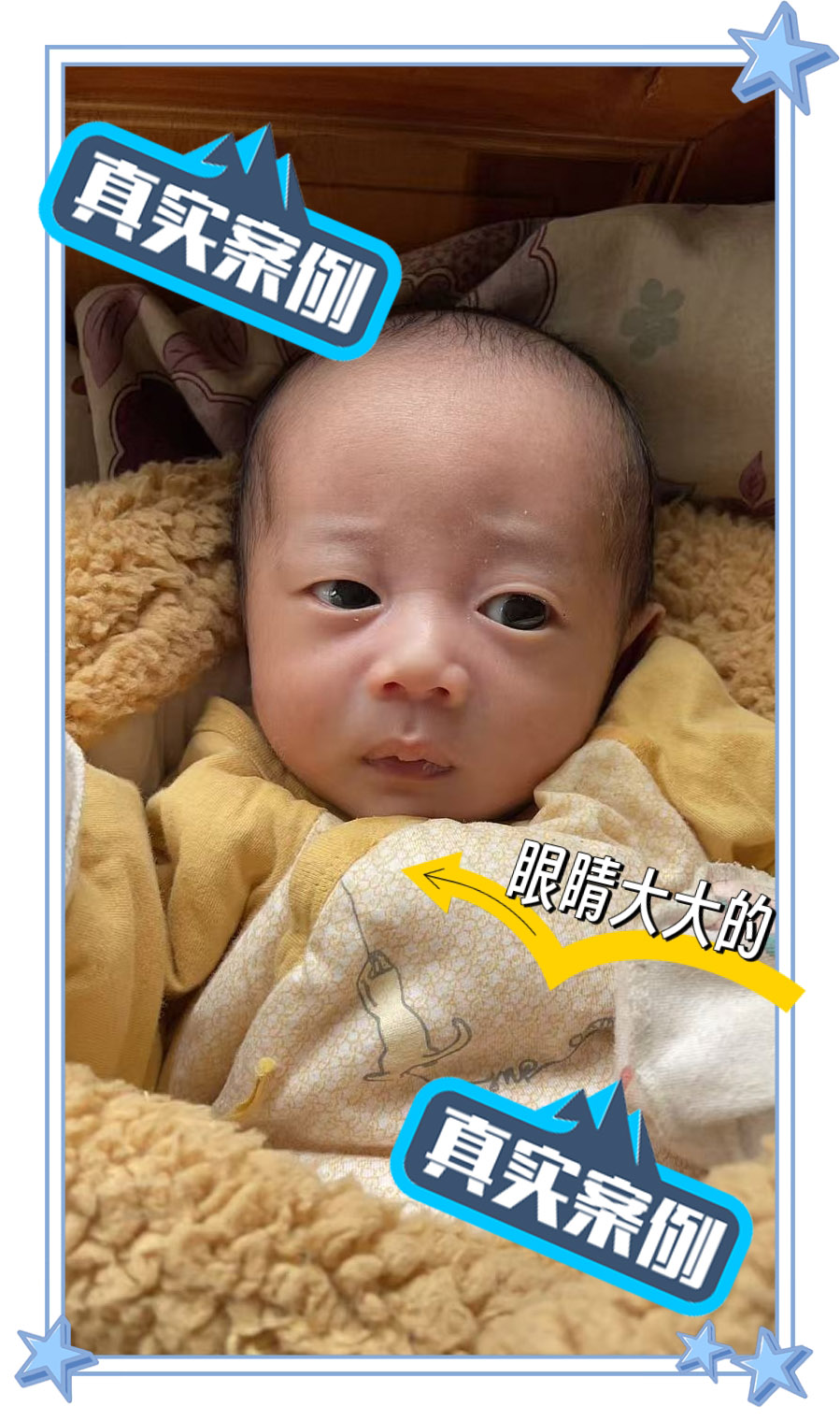 双胎兄弟上线，感谢客户分享 三代得双胎-第3张图片